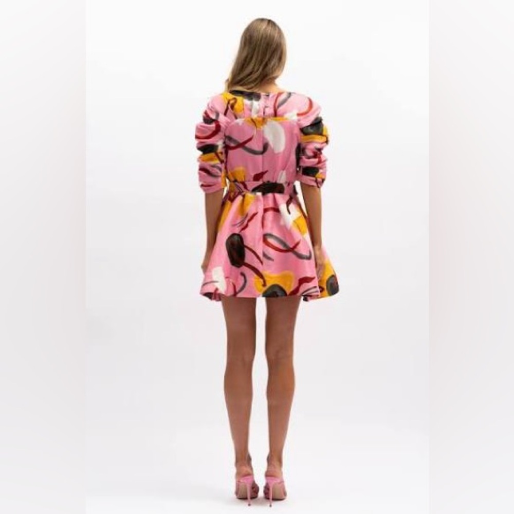 Aureta Studio Artist’s Canvas Mini Dress - Vibrant Pink and Yellow Floral Dress - Picture 2 of 9